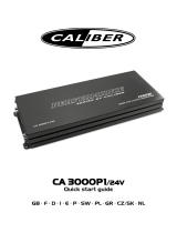 Caliber CA3000P1-24V Bedienungsanleitung