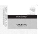 Creative DESKTOP THEATRE 5.1 DTT2500 DIGITAL Benutzerhandbuch