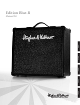 Hughes & Kettner Stereo Amplifier 100 Benutzerhandbuch
