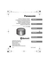 Panasonic SCRB5E Bedienungsanleitung