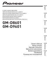 Pioneer GM-D9601 Benutzerhandbuch