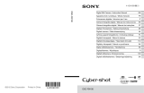 Sony Série CYBERSHOT RX100 Benutzerhandbuch