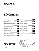 Sony TDG-BR100 Benutzerhandbuch