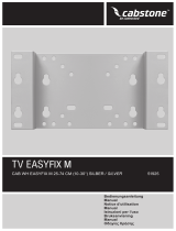 Wentronic Cabstone TV EasyFix M Benutzerhandbuch