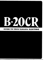 Yamaha B20CR Bedienungsanleitung