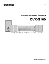 Yamaha DVX-S100 Benutzerhandbuch