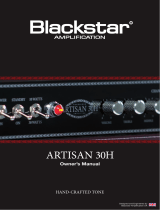 Blackstar ARTISAN 30H Bedienungsanleitung
