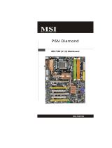 MSI P6N Datenblatt