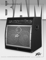 Peavey BAM 210 Bass Combo Amp Benutzerhandbuch