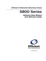 Efficient Networks Network Router 5800 Benutzerhandbuch