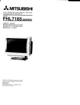 NEC FHL7165Series Bedienungsanleitung