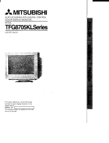 NEC Pro17TX-TFG8705KL Bedienungsanleitung