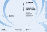 Yamaha TSX-B15 BLUE Benutzerhandbuch