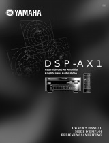 Yamaha DSP-AX1 Bedienungsanleitung