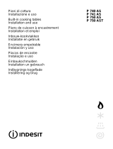 Indesit P 750 AS (IX) Benutzerhandbuch