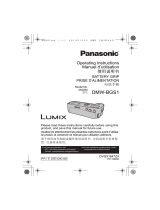 Panasonic DMWBGS1PP Bedienungsanleitung