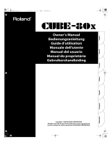 Roland CUBE-80X Bedienungsanleitung