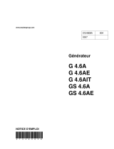 Wacker Neuson G4.6A Benutzerhandbuch