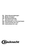 Bauknecht DBHBS 92C LT X Benutzerhandbuch