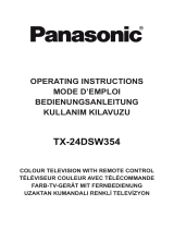 Panasonic TX24DSW354 Bedienungsanleitung