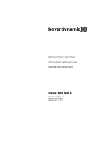 Beyerdynamic TS 100 Mk II, 174,100 MHz Benutzerhandbuch