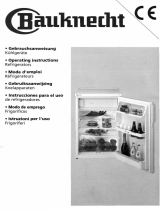 Bauknecht AK 160/1 Benutzerhandbuch