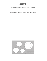 AEG 88100K-MNAEGBIG4 Benutzerhandbuch