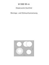 AEG 61300 M-in Benutzerhandbuch