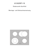 Aeg-Electrolux 61302MF1-N 06I Benutzerhandbuch