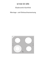 AEG 61100M-MN 38I Benutzerhandbuch