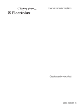 Electrolux EHS60061X Benutzerhandbuch