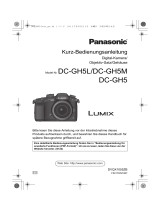 Panasonic DCGH5EG Bedienungsanleitung