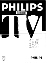 Philips 21PT161 Bedienungsanleitung