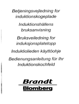 Groupe Brandt HFR65X1N Bedienungsanleitung