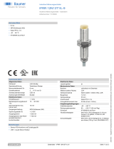 Baumer IFRR 12N13T1/L-9 Datenblatt