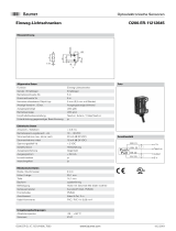 Baumer O200.ER-GL1E.72CV/H006_T003 Datenblatt