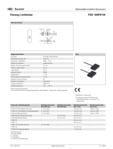 Baumer FSE 100F6Y01 Datenblatt