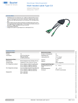 Baumer Multi headed cable Type C4 Datenblatt