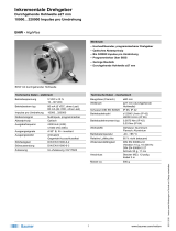 Baumer BHW - HighRes Datenblatt