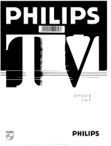 Philips 20PT155B Benutzerhandbuch
