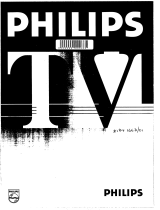 Philips 21PT166B/01 Benutzerhandbuch