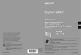 Sony DSC-W100 Bedienungsanleitung