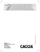 Gaggia RI9303 / 01 CLASSIC MANUELLE Benutzerhandbuch
