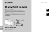 Sony DSC-P100R Bedienungsanleitung