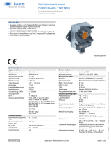 Baumer R600V.DAH5-11221283 Datenblatt