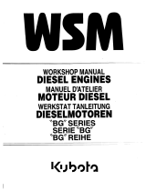 Kubota 125 mm Stroke Series Workshop Manual