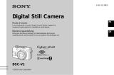 Sony DSC-V1 Bedienungsanleitung