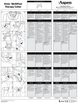 Aspen Vista Schnellstartanleitung