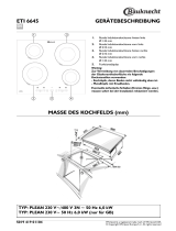 Bauknecht ETI 6645 IN Program Chart