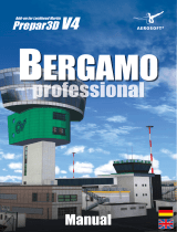 Sim-WingsBergamo Professional
